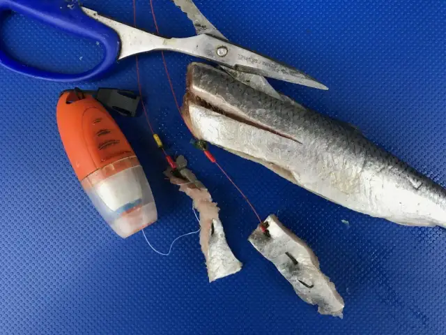 Jaki rozmiar haczyka na leszcza? Uniknij najczęstszych błędów w wędkarstwie