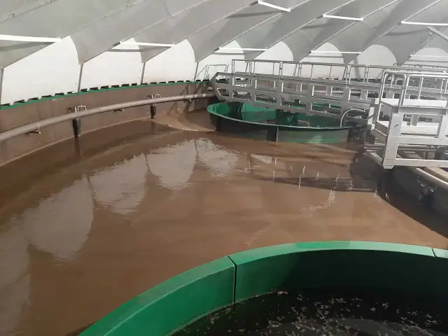 Dużo piany w oczyszczalni - skuteczne rozwiązania i najczęstsze przyczyny