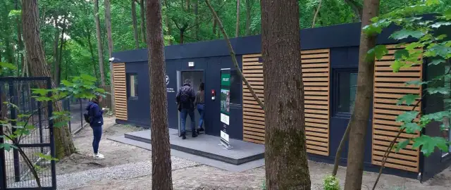 Gałęzie z lasu dla ptaków: Jak bezpiecznie przygotować do woliery?