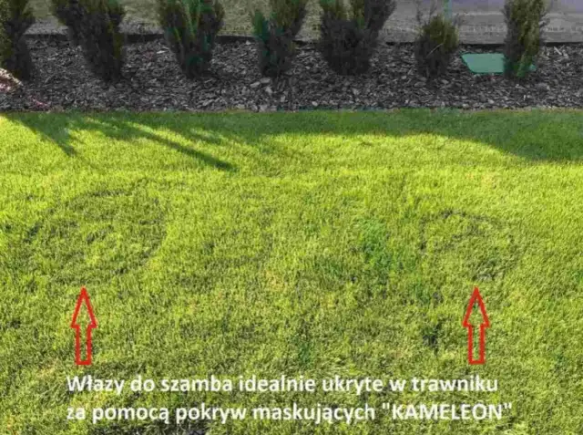 Niewidzialna oczyszczalnia: Ukryj ją, by ogród zachwycał!