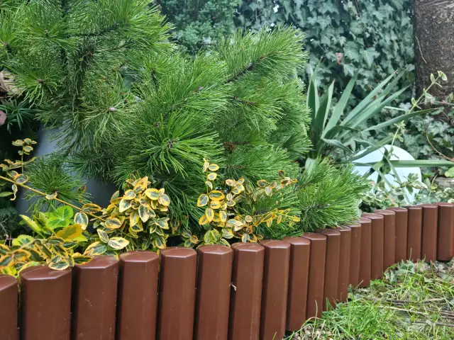 Jak układać palisady ogrodowe plastikowe - proste kroki i porady