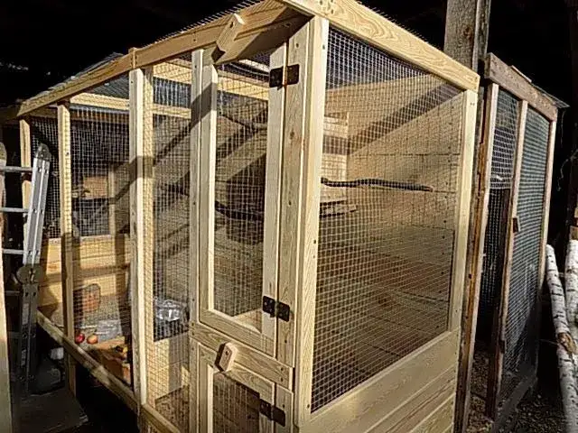 Jak zrobić wolierę dla papug - proste kroki i ważne wskazówki