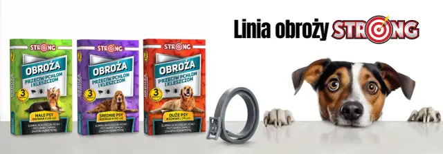 Obroża czy krople na kleszcze dla psa – co wybrać dla bezpieczeństwa?