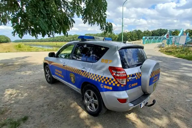 Czy straż miejska może wystawić mandat za parkowanie na osiedlu? Sprawdź zasady