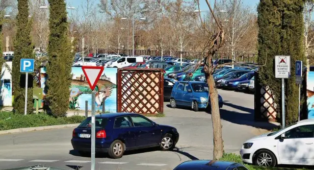 Gdzie zaparkować przy pałacu w Wilanowie? Sprawdź opcje parkingowe