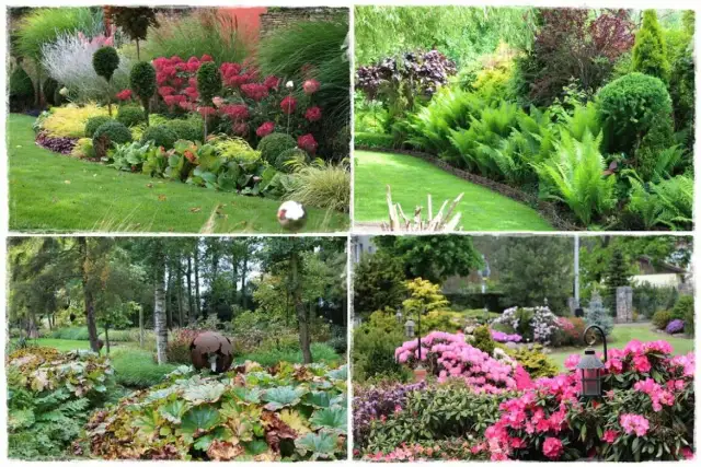 Rośliny przy ogrodzeniu: wybierz idealne gatunki dla swojego ogrodu