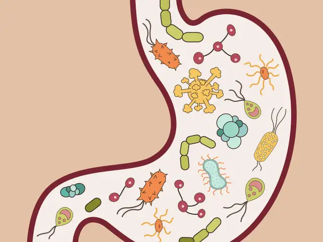 Skutki uboczne odrobaczania – co warto wiedzieć o zagrożeniach dla zdrowia