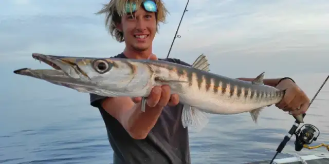 Jaką wędkę na żywca wybrać, by nie stracić dużej ryby?