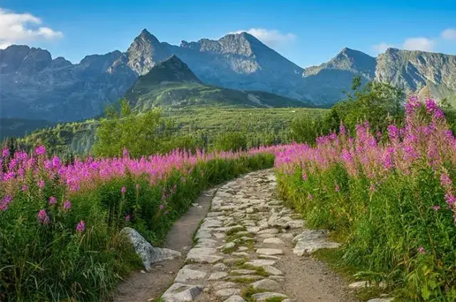 Jakie są góry w Polsce? Wybierz idealne pasmo na Twój wyjazd!