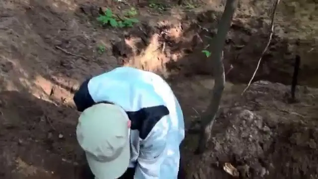 Jak zbudować schron w lesie - proste kroki i materiały do użycia