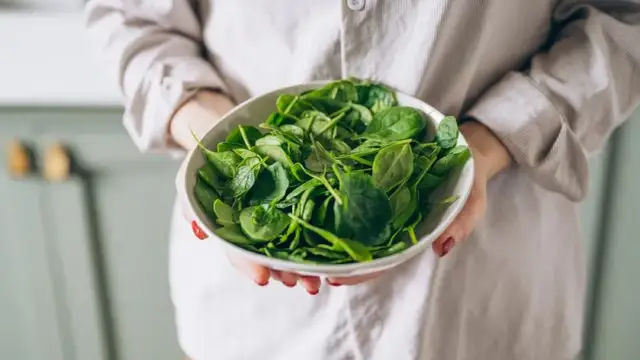 Kiedy jest sezon na szpinak? Poznaj najlepszy czas na świeży smak