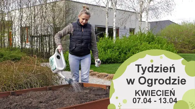 Kwiecień w ogrodzie: Kompleksowy przewodnik po pracach i poradach