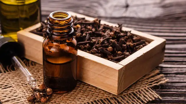 Butelka z olejkiem goździkowym, drewniana skrzynka z goździkami i pipeta.