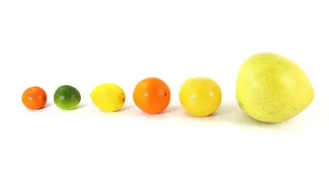 Czy pies może jeść pomelo? Sprawdź, czy to bezpieczne dla Twojego psa!