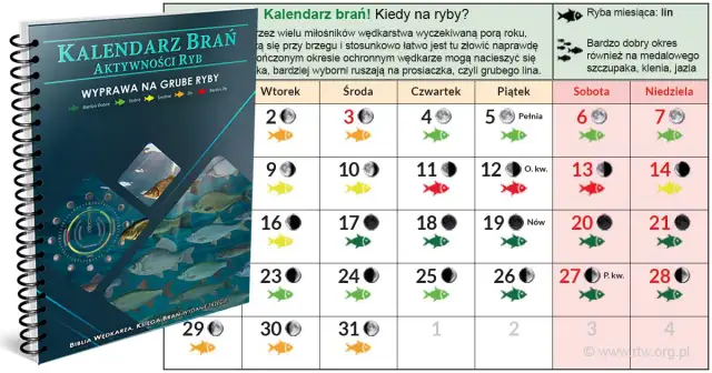 Sekrety kalendarza brań: Kiedy ryby żerują najlepiej?
