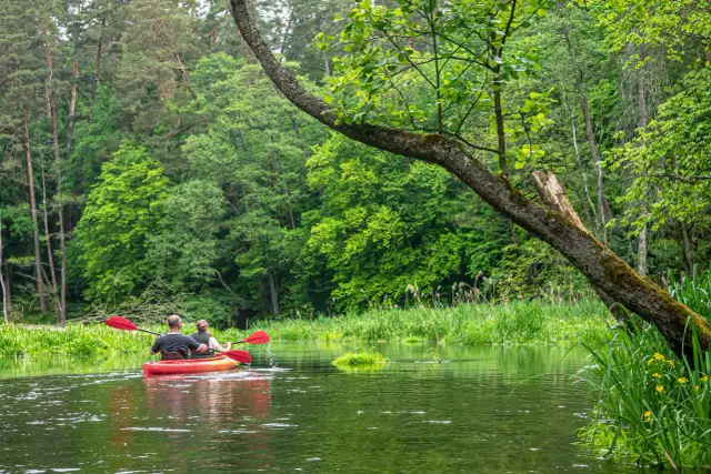 Olsztyn: Które jezioro wybrać? Przewodnik po atrakcjach wodnych