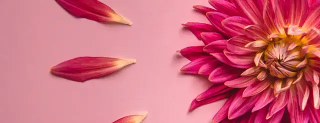 Jak zdiagnozować menopauzę? Kluczowe metody i badania, które musisz znać