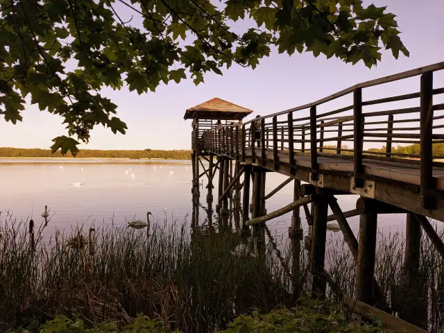 Rezerwaty przyrody na Śląsku – gdzie warto pojechać i co zobaczysz?