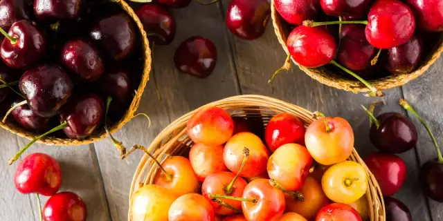 Czereśnie dla psa: czy są bezpieczne? Pestki to śmiertelne ryzyko!