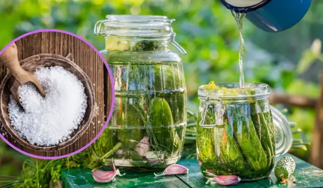 Sól morska do kiszenia ogórków? Igor Baran rozwiewa wątpliwości!