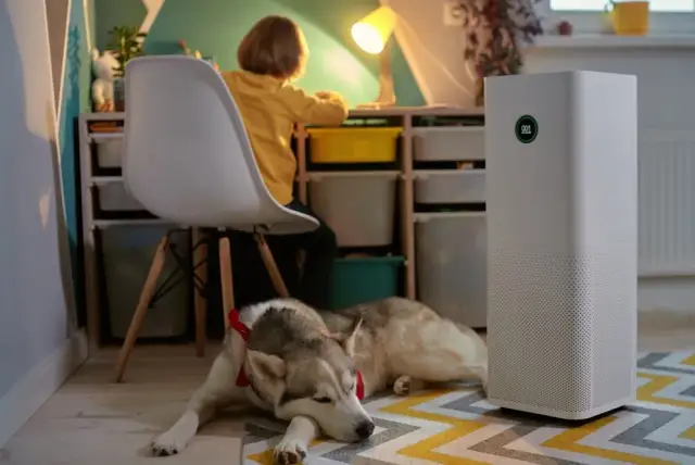 Zbuduj Oczyszczacz Powietrza DIY: Tani i Skuteczny Sposób na Smog