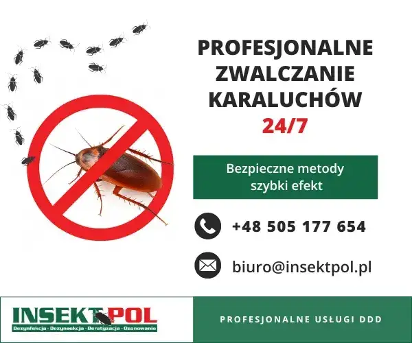 Jak skutecznie pozbyć się karaluchów w bloku i uniknąć inwazji