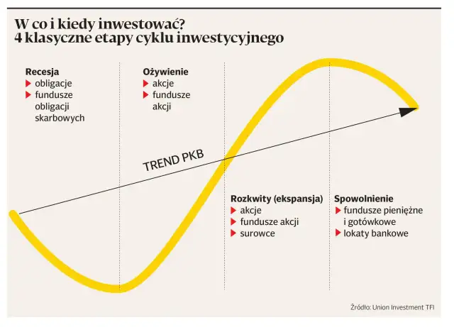Akcje czy obligacje - Jak wybrać i zarabiać świadomie?