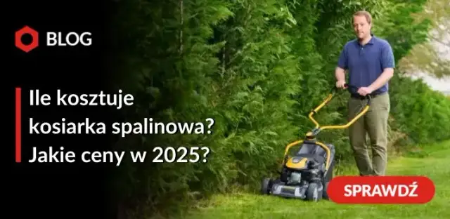 Ile kosztuje kosiarka? Sprawdź ceny i wybierz najlepszy model