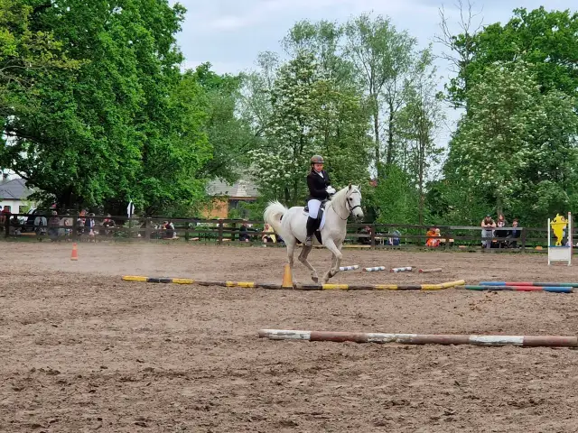 Jak wygląda odznaka jeżdżę konno i dlaczego jest tak ważna?