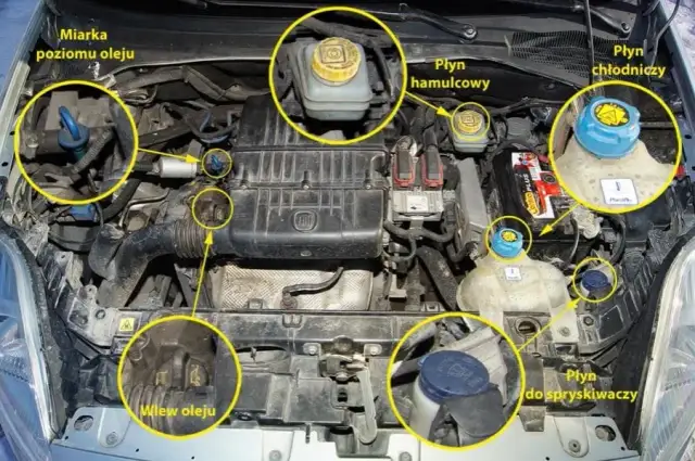Płyn w aucie - Jakie rodzaje płynów są i jakie mają funkcje?