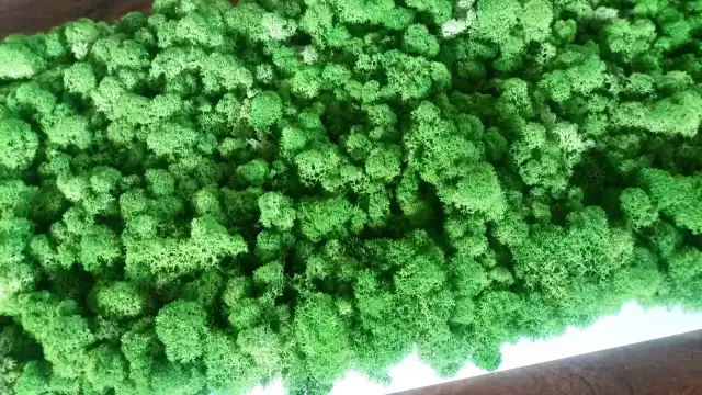 Jak zrobić panel z chrobotka – krok po kroku do pięknej dekoracji