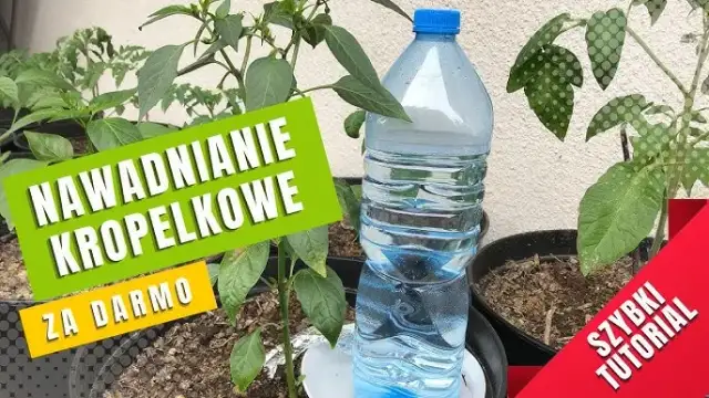 Nawadnianie z butelki: Proste DIY na urlop i nie tylko