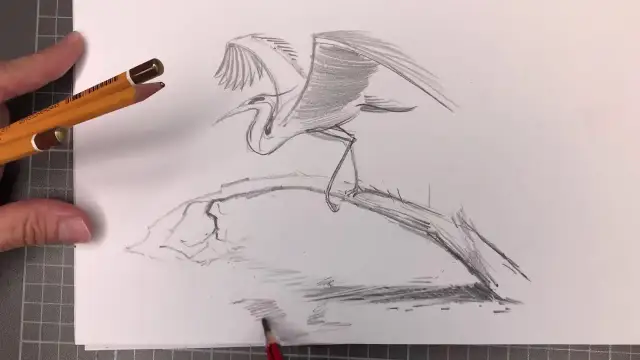 Jak narysować ptaka? Proste kształty, piękne efekty!