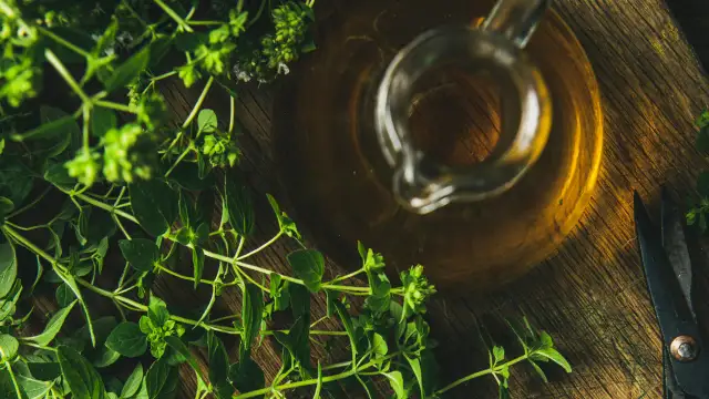 Jak zrobić olej z oregano? Prosty i bezpieczny przepis na macerat