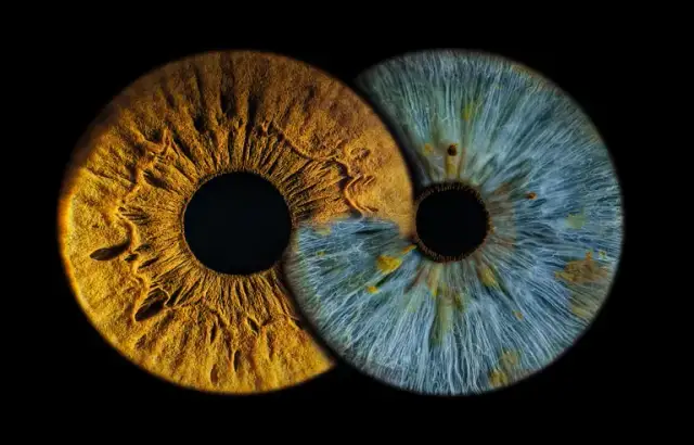 Gdzie zrobić zdjęcie tęczówki? Sprawdź najlepsze miejsca w Polsce