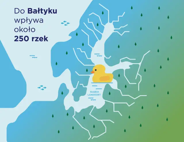 Ile rzek wpływa do Bałtyku? Odkryj ich znaczenie dla ekosystemu