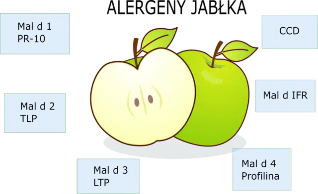 Alergia na jabłko u niemowląt: Jak rozpoznać i bezpiecznie podać?
