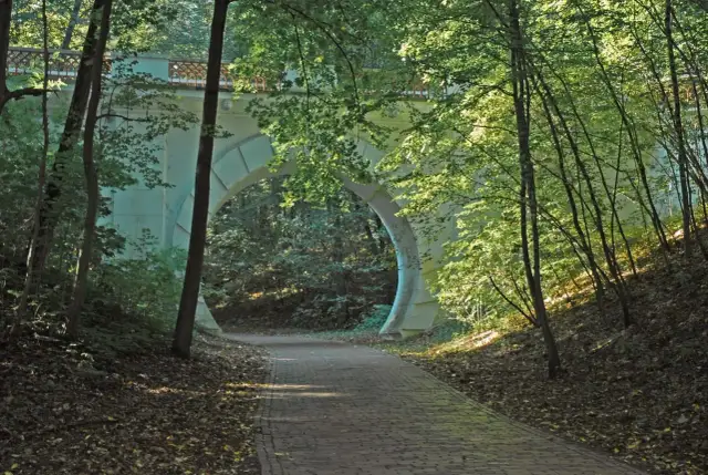 Rezerwat przyrody Las Natoliński - tajemnice, historia i przyroda