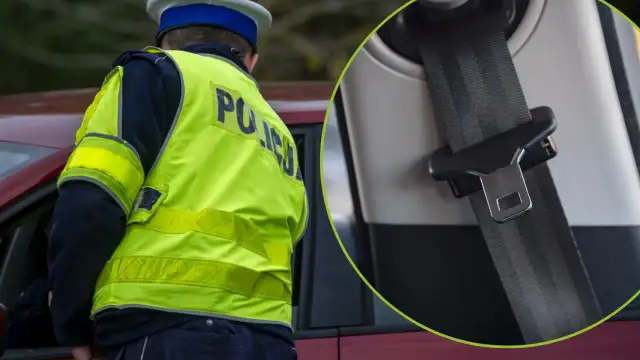 Ile wynosi mandat za brak pasów? Sprawdź, by uniknąć kary