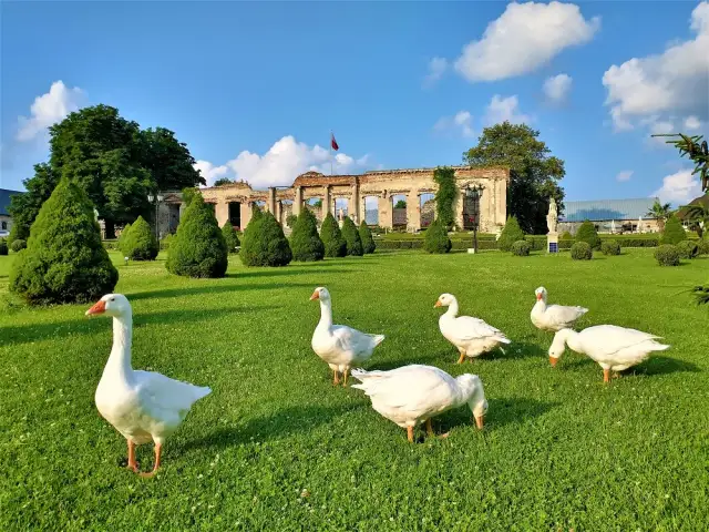 Najciekawsze atrakcje w Sobkowie: Zamek Rycerski i więcej dla turystów