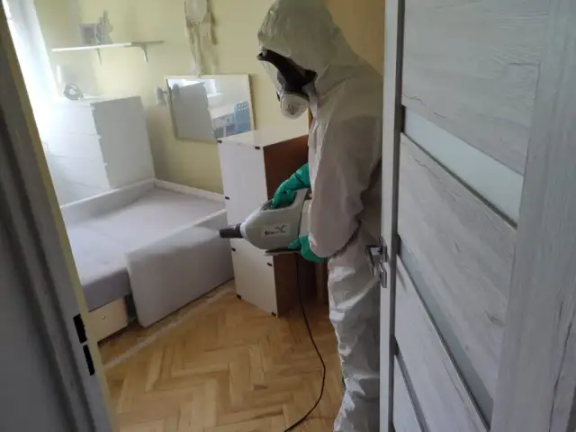 Jak posprzątać mieszkanie po dezynsekcji, aby uniknąć zagrożeń?