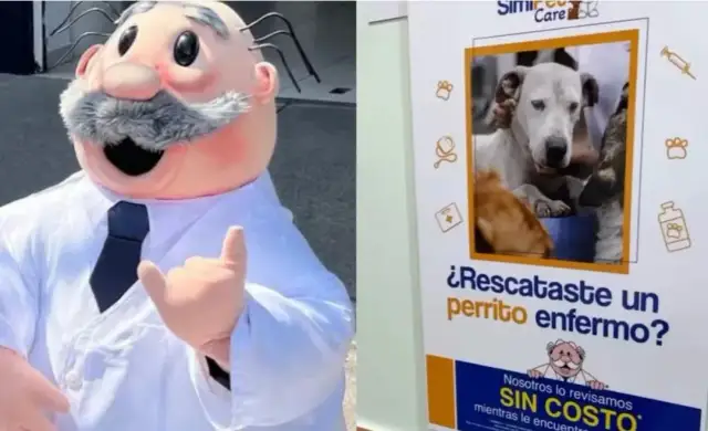Veterinario gratis: opciones para cuidar de tu mascota sin costo