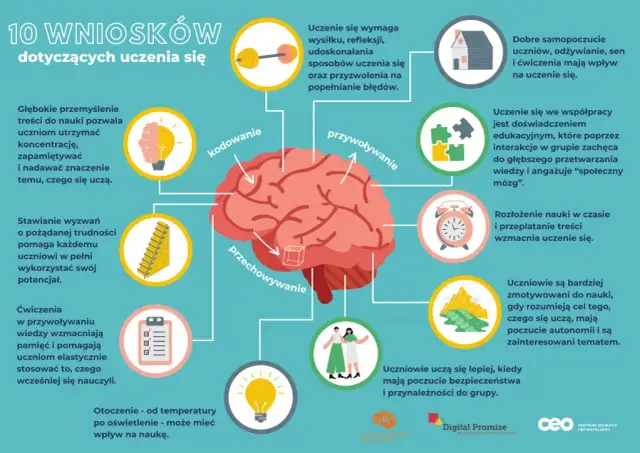 Jak efektywnie się uczyć? Opanuj techniki i ucz się szybciej!