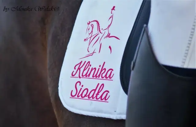 Szkółka jeździecka nad stawem – najlepsze lekcje jazdy konnej w Poznaniu