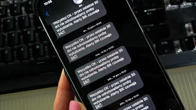 Alerty BIK ochrona przed wyłudzeniem. Czy warto?
