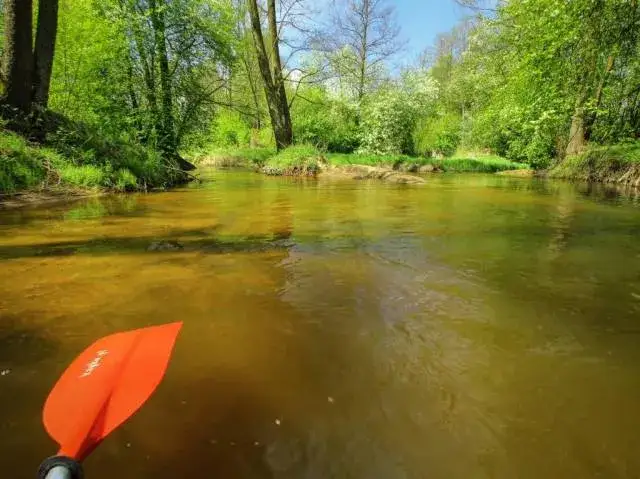 Spływ kajakowy Grabia - najpiękniejsze trasy i porady dla każdego