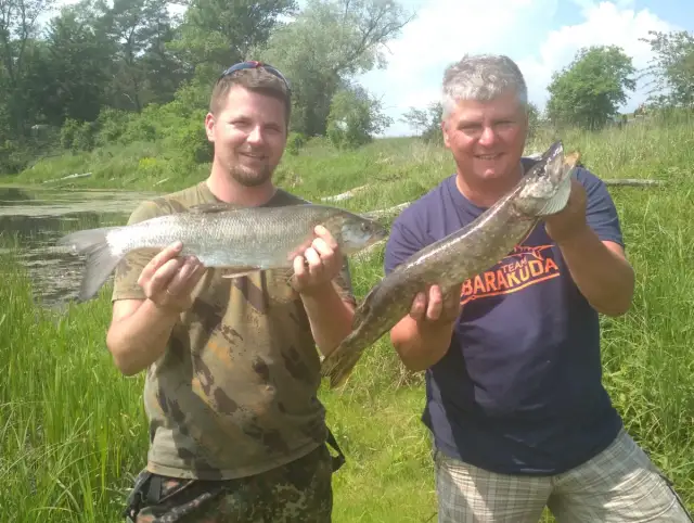 PZW "Przynęta" Suchy Las: Twój przewodnik po wędkarstwie w Poznaniu