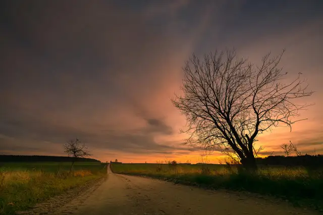 Kompozycja w fotografii - Jak budować kadry, które przyciągają wzrok?