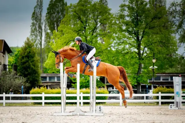 Sopocki klub jeździecki: historia, osiągnięcia i nadchodzące wydarzenia