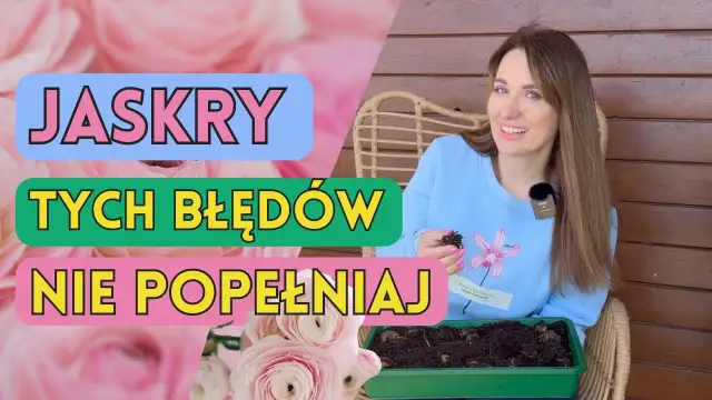 Jaskry w ogrodzie: Jak sadzić, by kwitły obficie?